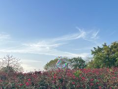 -大金山风景区