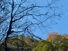 -燕子河大峡谷天坑仙境