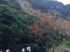 -少华山国家森林公园