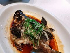 -海游荟·海洋文化餐厅(福田店)