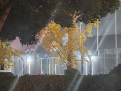 -成都银泰中心in99