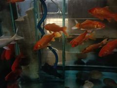 -阳光山水江湖菜馆(西山龙门店)