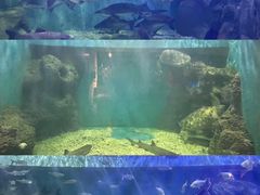 -上海长江河口科技馆