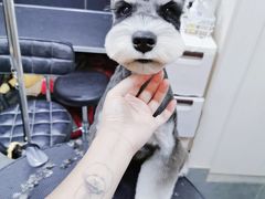 -小尾巴宠物店(万科·金域华庭店)