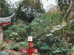 -岳麓山风景名胜区