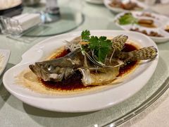 -蓝北人家·渝菜
