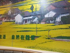 -魏家凉皮(黄雁村店)