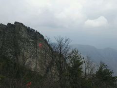 -牛背梁国家森林公园