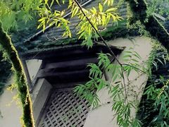 -雪山彩虹谷景区