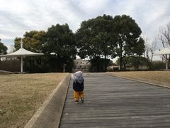 -新江湾城公园