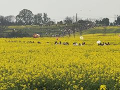 -三圣花乡旅游区