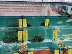 -有腥气私房菜·寻味顺德