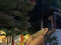 -十八棵（老龙井）御茶园(老龙井店)