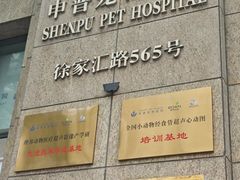 -申普宠物医院·心脏介入·心血管微创(总院)