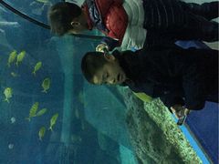 -福州罗源湾海洋世界旅游区