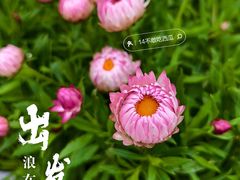 -中山公园