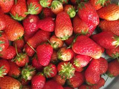 -肯德基(学院路店)