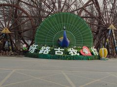 -呀路古热带植物园
