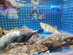 -渔港甄宴·海鲜·地标烟台菜(金沙滩店)