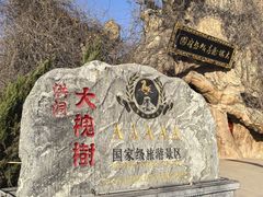 -大槐树寻根祭祖园