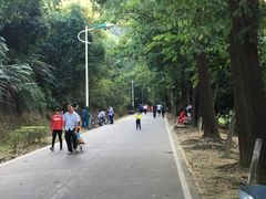 -风云岭森林公园