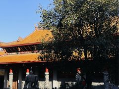 -仙岳公园