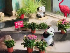 门面-九鼎轩脆毛肚火锅(邗江万达店)