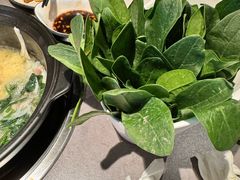 -同仁四季椰子鸡(海岸城天利店)