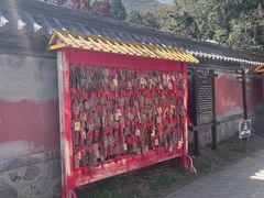 -阳台山自然风景区