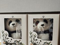 -成都大熊猫繁育研究基地