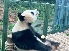 -大连森林动物园