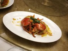 螃蟹焗饭-苏浙汇(朝外店)