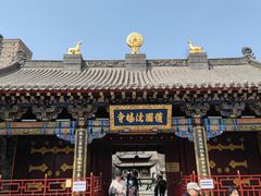 -护国法轮寺
