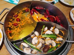 -青瓷火锅料理(西单大悦城店)