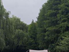 -同里国家湿地公园