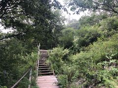 -灵山
