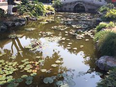 -珠海圆明新园