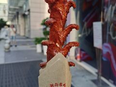 -董顺桃小粒臭豆腐(坡子街店)