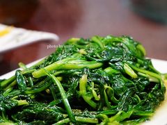 清炒蓬蒿菜-吕四渔港码头海鲜餐厅