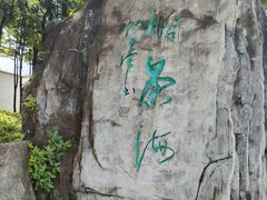 -梧桐山风景名胜区