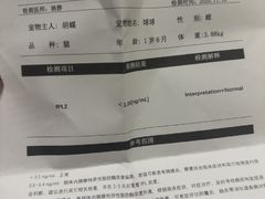 -瑞派·关忠动物医院(国瑞店)