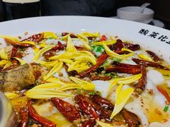 -太二酸菜鱼(沈阳万象城店)