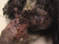 ments&nbsp;and&nbsp;Settings\Administrator\桌面\新建文件夹\IMGA4741-康乐宝动物医院