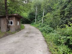 -青峰峡国家森林公园