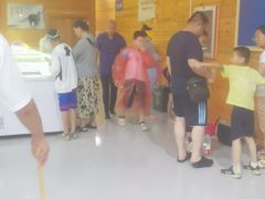 -日照海滨国家森林公园