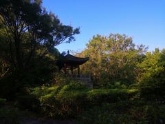 -深圳国际园林花卉博览园