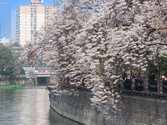 -红星桥(地铁站)