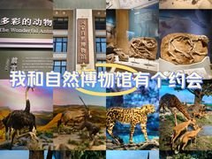 -国家自然博物馆