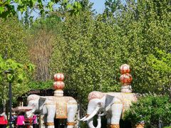 -永定河休闲森林公园