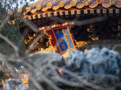 -故宫博物院(故宫)
